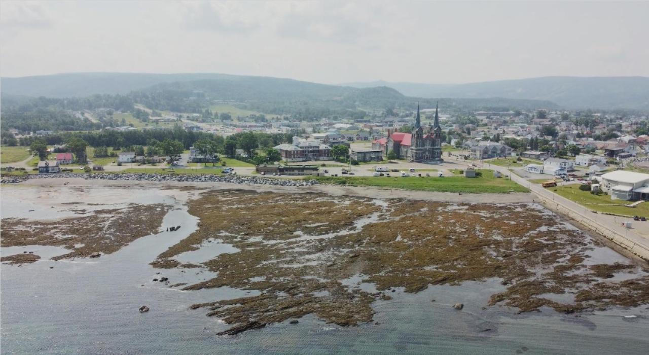 Appartamento Le Couvent Sainte Anne-des-Chênes Esterno foto